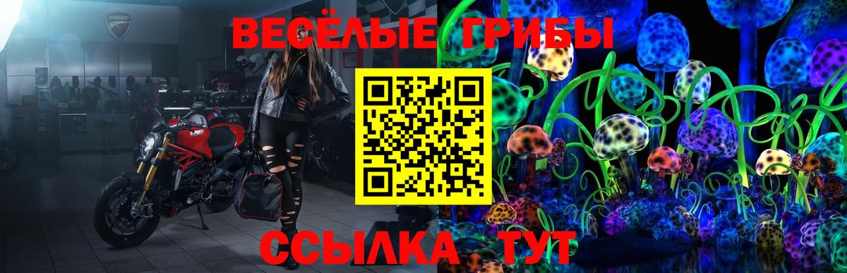 Псилоцибиновые грибы GOLDEN TEACHER Лангепас
